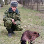 Как я воспользовался травматом
