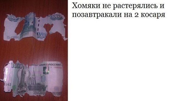 картинки на выходные
