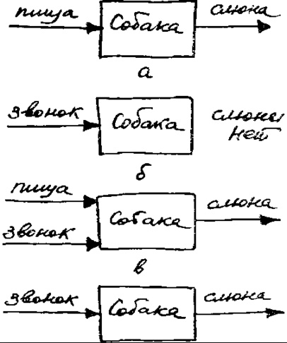 Размышления на тему об отношениях мужчин и женщин