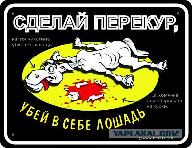 Злые шутки или минутка сарказма на ЯП-е, 16+