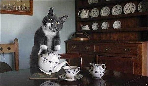 Картинки из ваших этих итернетов...