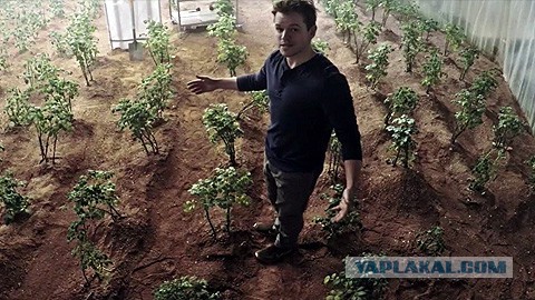 Провалившийся рай - невероятно отрезвляющий эксперимент