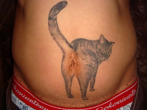 Интересные и веселые картинки