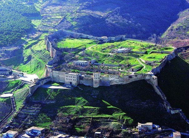 Интересные и веселые картинки