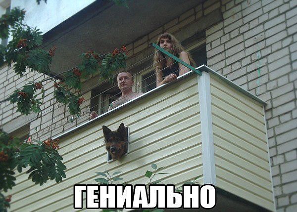 Подборка интересных и веселых фото