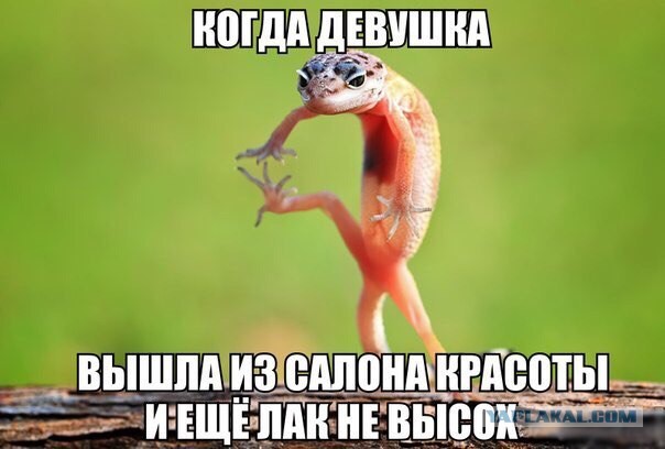 Ассорти картинок из сети