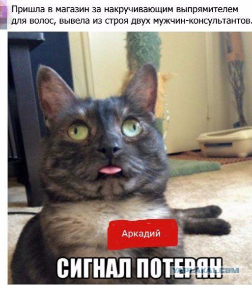 Смешные комментарии 24.07.2016