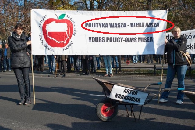 Польские садовники потребовали возобновить экспорт яблок в Россию