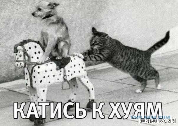 Павел Воля вместе с семьей покинул Россию навсегда