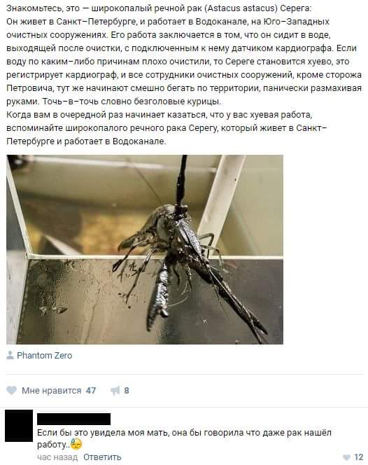 Ужасы и приколы из соцсетей 18+