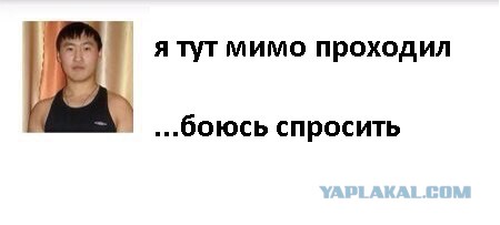 Сногшибательная кикбоксерша Екатерина Ковалева