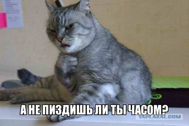 П...зда рублю