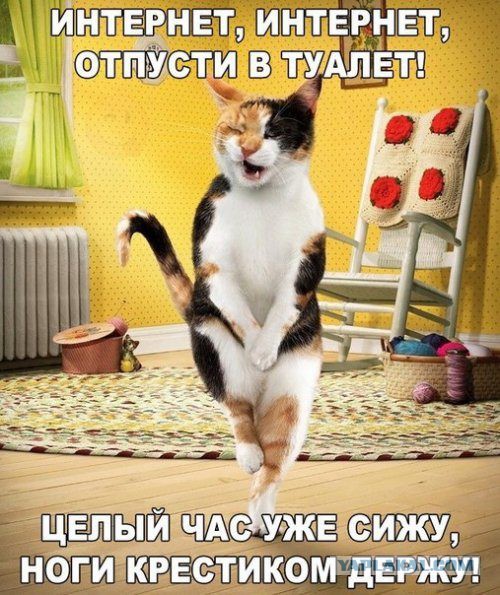 Забавная всячина