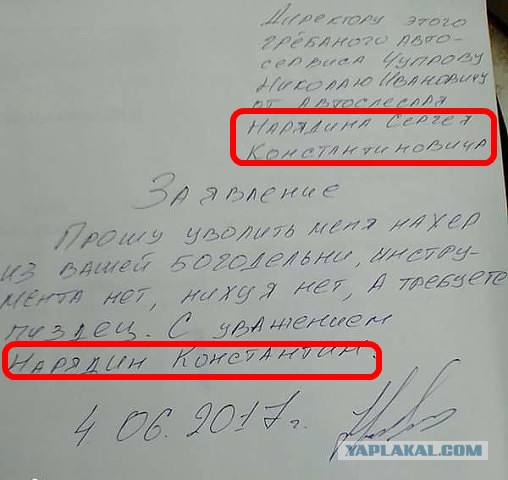 Подборка интересных и веселых картинок