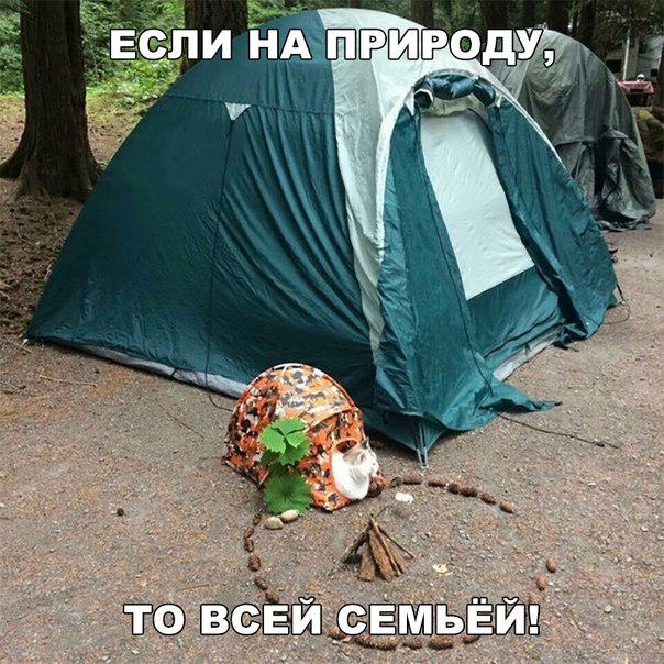 144 картинки для поднятия настроения!