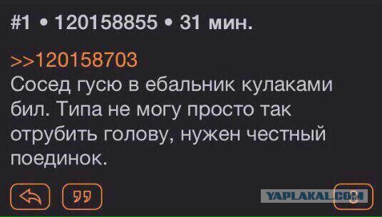 Смешные комментарии из социальных сетей 17.11.2017