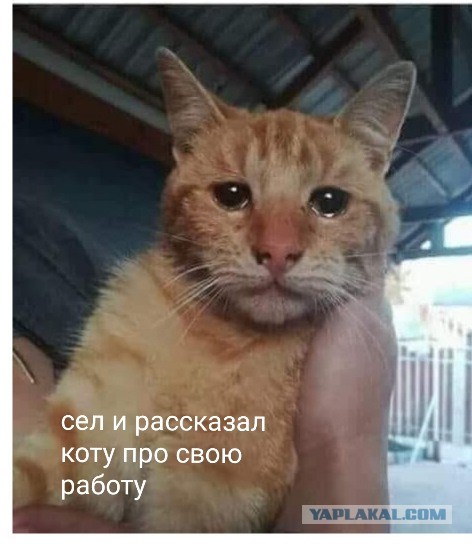 В Италии на заводе взорвалась цистерна с игристым вином