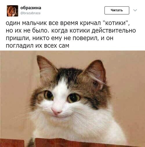 Не очень адекватный юмор