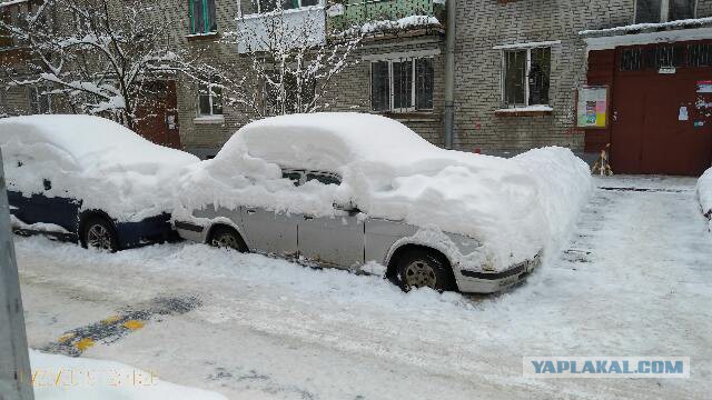 В Москве вторые сутки сильный снегопад, из-за которого сугробы выросли до 44 сантиметров. Немного фотографий заснеженной столицы