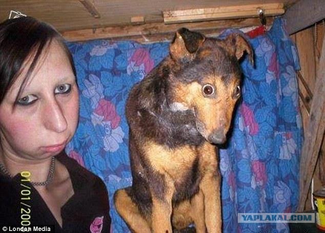 Зоопарк чучел