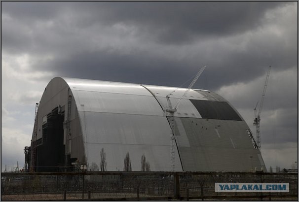 Нотр-Дам де Пари глазами российских реставраторов