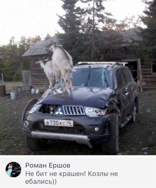 Немного картинок для настроения