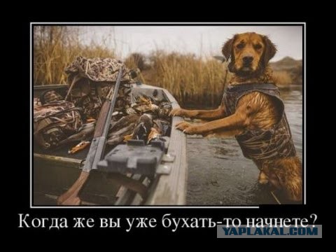Вот с*ка! Бросил пить и ушёл к другой