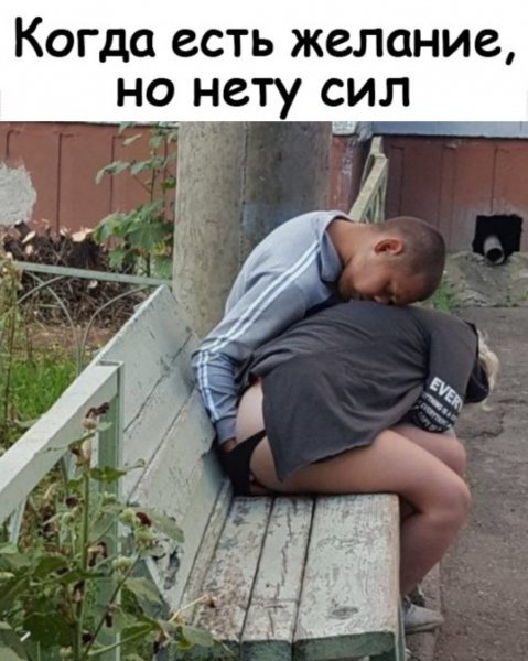 Картинки разные атавсюду. Часть 2