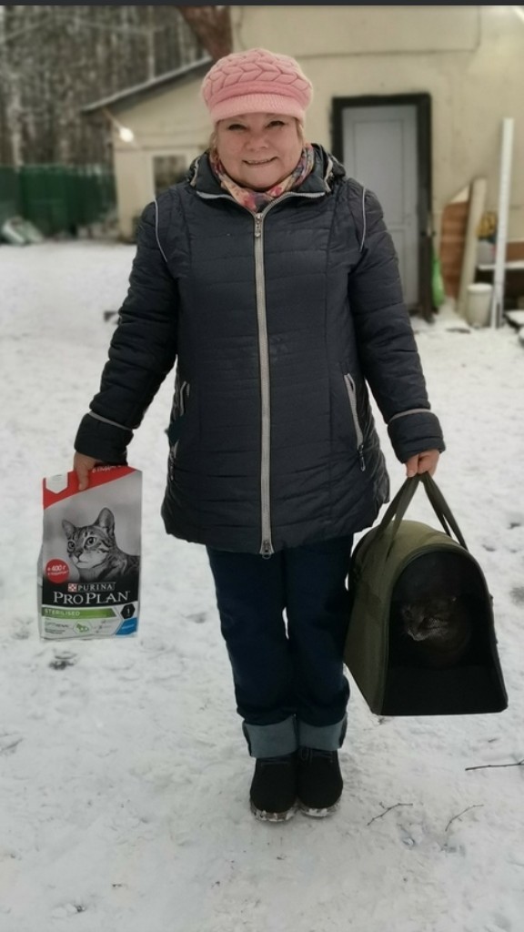 Котопост