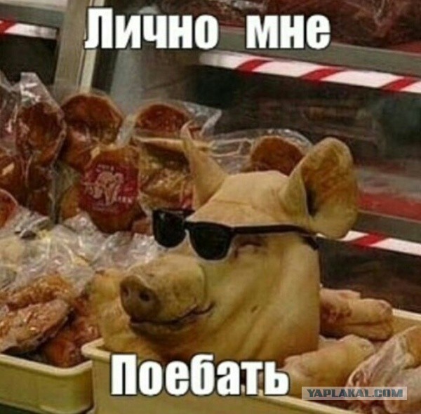 Ага, попался! Не фиг спать!