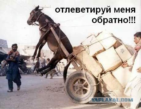 Фотожаба: В рот мне ноги!