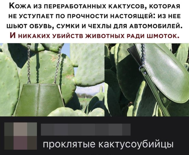50 так себе картинок 02.06.20