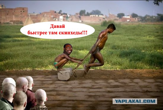 Фотожаба: Это не санки!