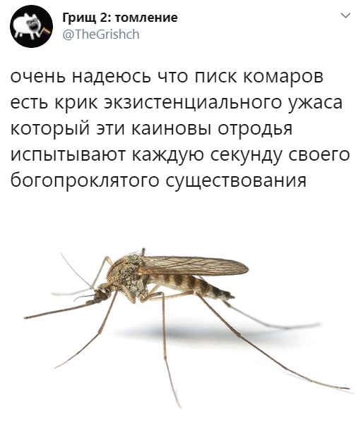 Чуток картинок 20.07.20