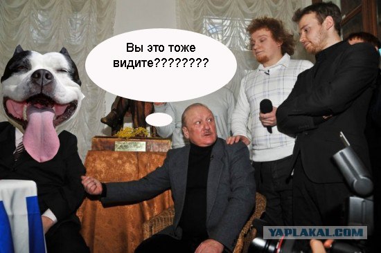 Битва экстрасенсов