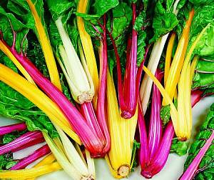 #ЯПовар. Куббе.