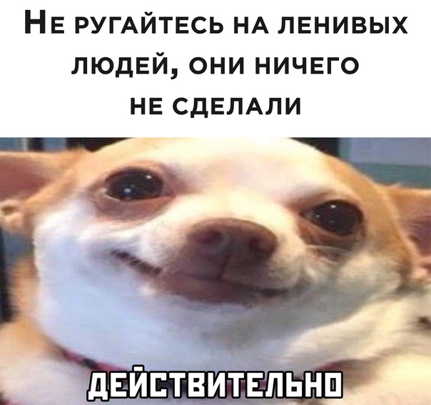 Немного картинок для настроения 03.11.20