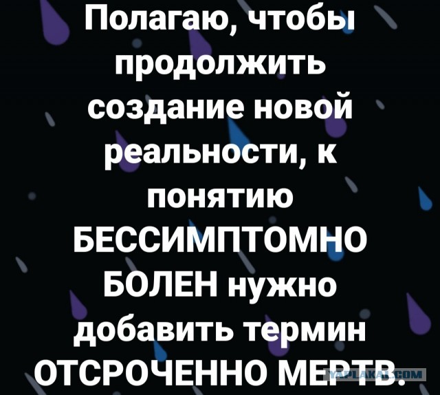 Бредзона 01.12.20