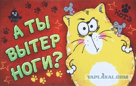 Не зли меня, - убью.