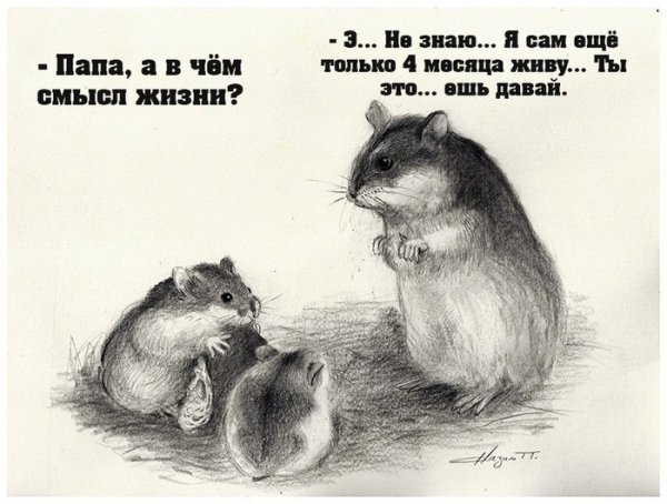 Весёлый полтишок 25.04