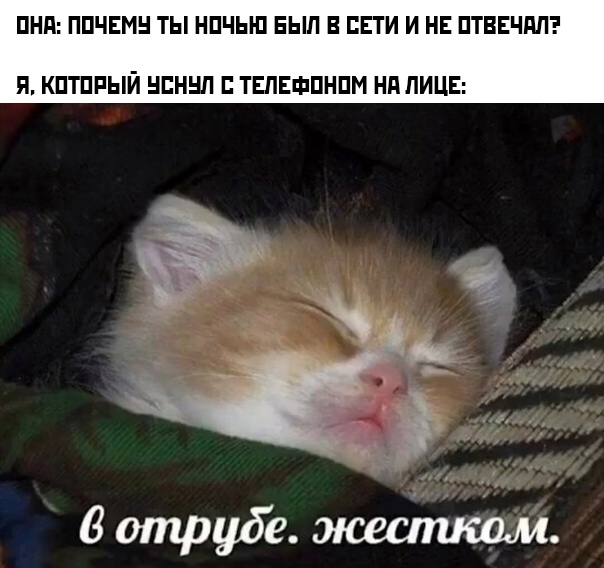Весёлый полтишок 12.07