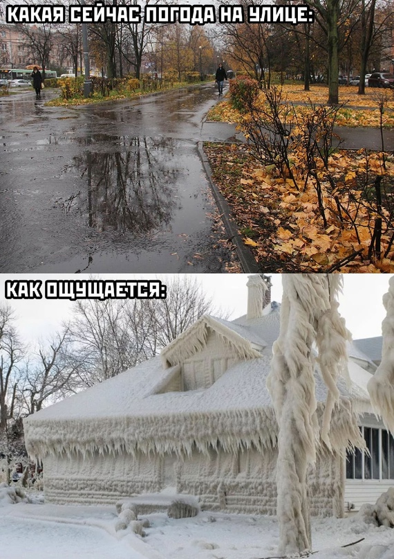 Весёлый полтишок 09.09.