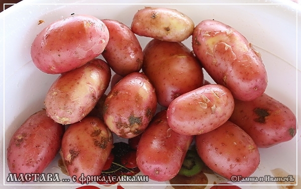 Кухня народов Средней Азии