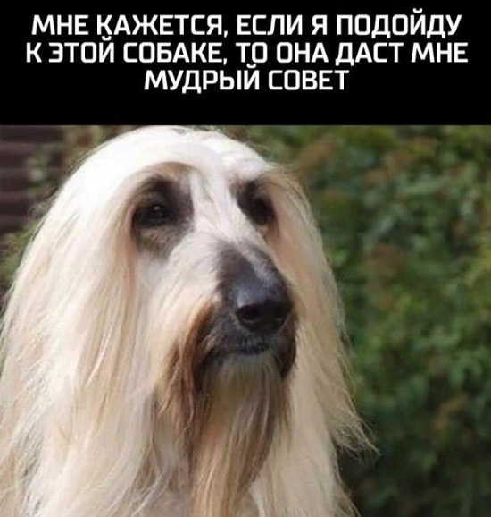 Так себе картинки 23.09.21