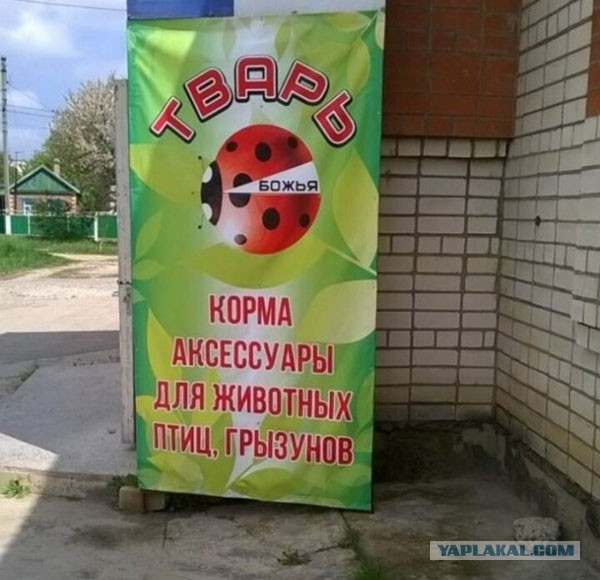 Чуток картинок 23.10.21
