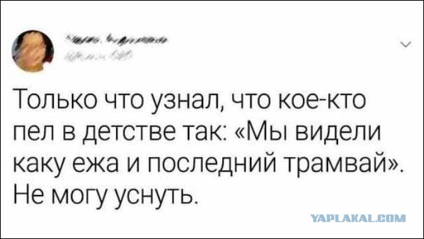 Человек собаке друг и другие картинки и мемы  под настроение