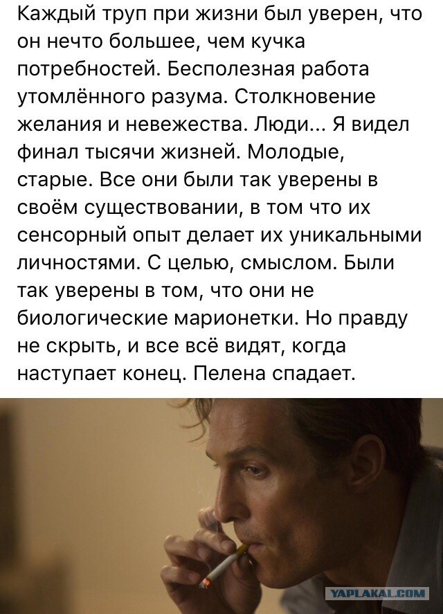 Стало известно о критическом состоянии Жириновского