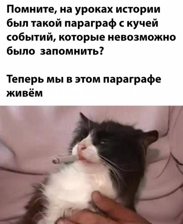 Картинки и мемы, всем отличных выходных