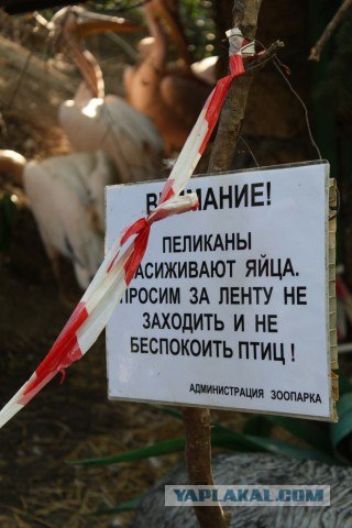 Крым. Евпатория, Ялта... да и вообще на машине