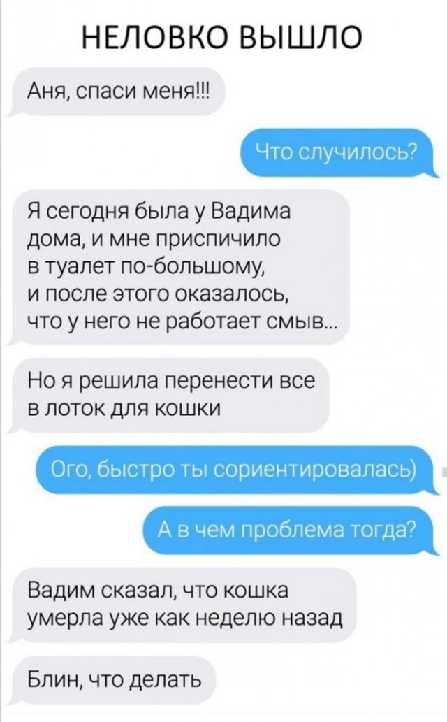 Так себе картинки 01.06.22